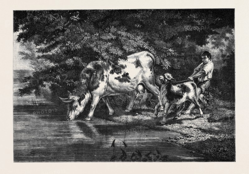 The Watering Place