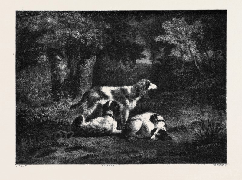 THE DOGS IN THE FOREST, BY DIAZ; Les Chiens dans la forÃƒÂªt, par Diaz.