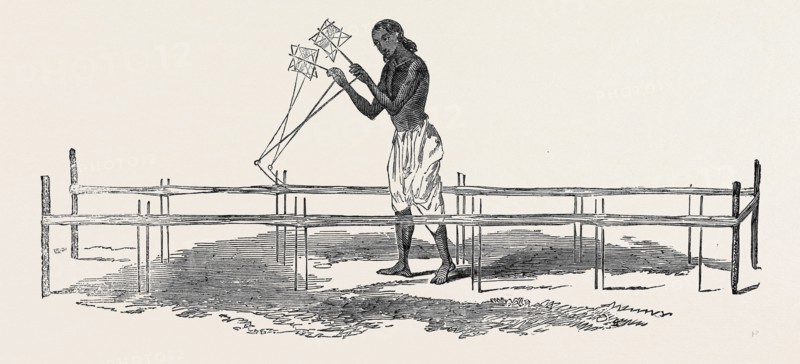 INDIAN COTTON, THE WEBS OF DACCA: WARPING.