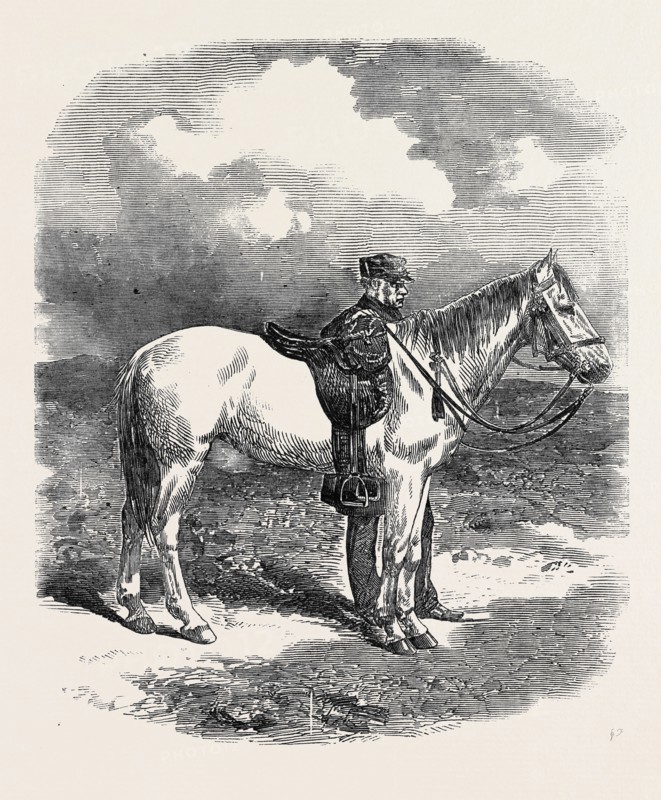 GENERAL SIR WILLIAM JOHN CODRINGTON, THE NEW COMMANDER-IN-CHIEF IN THE CRIMEA