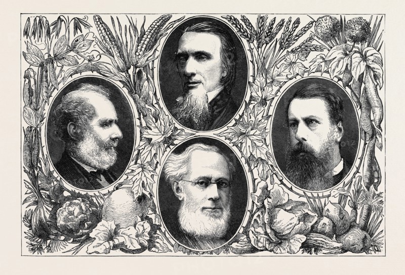 THE VEGETARIAN SYSTEM, SOME LEADING MEMBERS OF THE VEGETARIAN SOCIETY, JOHN DAVIE, ESQ., PROF. F.W. NEWMAN, ISAAC PITMAN, ESQ., W. GIBSON WARD, ESQ.