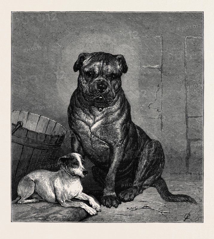 BEAUTY AND THE BEAST, FROM THE DRAWING BY JOHN CHARLTON IN THE BLACK AND WHITE EXHIBITION
