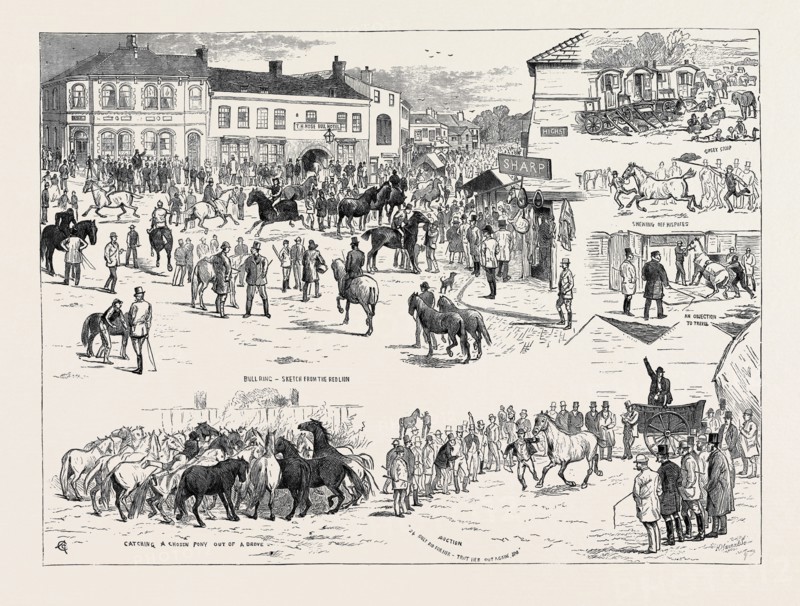 JOTTINGS AT THE HORNCASTLE HORSE FAIR, AUGUST 22, 1874