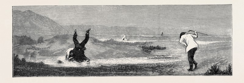 GOLF AT WESTWARD HO: UNHAPPY RESULT!