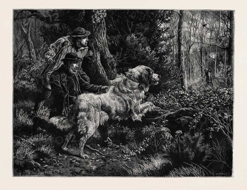 CATCHING A POACHER