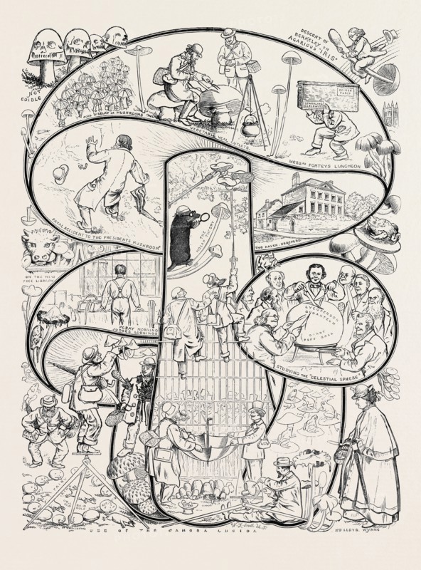 THE HEREFORD FUNGUS FESTIVAL, OCTOBER 17, 1874