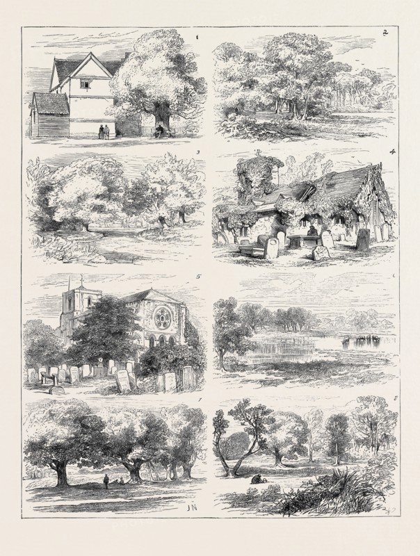 THE PRESERVATION OF EPPING FOREST 1. Queen Elizabeth's Lodge, Epping Forest. 2. Whipp's Cross. 3. Ambresbury Banks: Queen Boadicea's Camp. 4. Ruins of Chingford Church. 5. Waltham Abbey. 6. The Hollow Pond, Epping Forest. 7. Queen Elizabeth's Glades, Epping Forest. 8. High Beech Glades, Epping Forest.