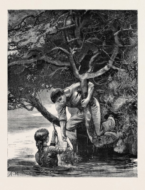 KIT, A MEMORY; BY JAMES PAYN: The long looked-for branch.