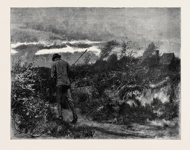 KIT, A MEMORY; BY JAMES PAYN: He waved his stick and increased his pace.