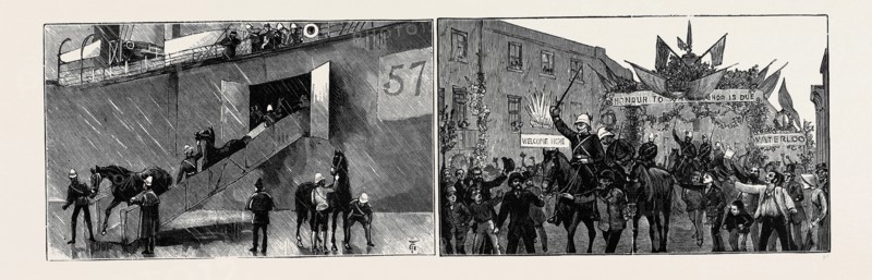 THE RETURN OF THE TROOPS FROM EGYPT: THE RETURN OF THE GUARDS, DRY (?) LAND AT LAST: LANDING HORSES AT THE DOCKS (LEFT); THE RECEPTION OF THE SECOND LIFE GUARDS AT WINDSOR, PASSING UNDER A TRIUMPHAL ARCH (RIGHT)