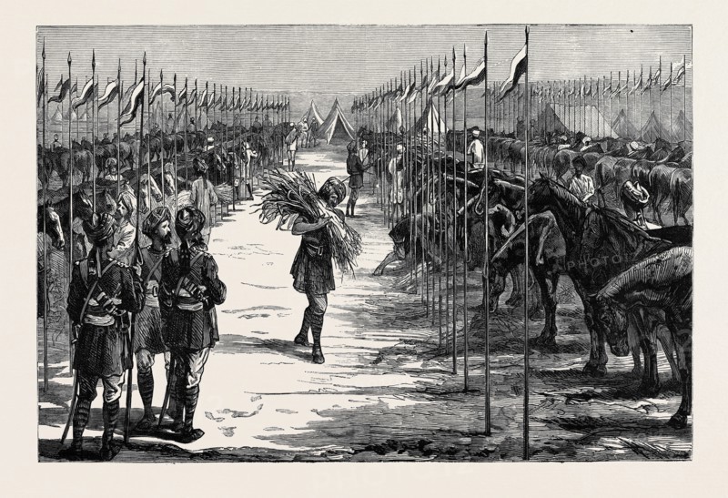 WITH THE INDIAN CONTINGENT IN EGYPT: A CAMP OF THE THIRTEENTH BENGAL LANCERS