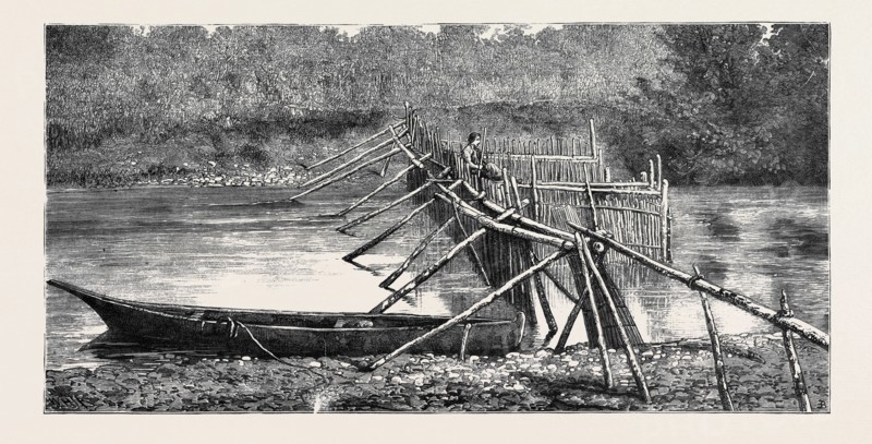 A SALMON WEIR NEAR THE QUAMICHAN INDIAN VILLAGE ON THE COWICHAN RIVER, VANCOUVER ISLAND, CANADA