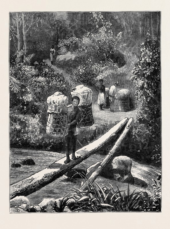 A NATIVE BRIDGE, MADAGASCAR
