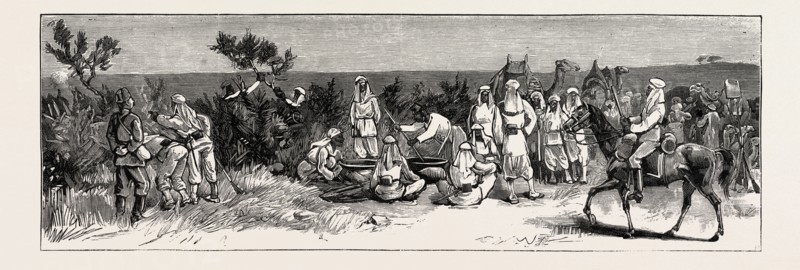 THE REBELLION IN THE SOUDAN (SUDAN), WITH BAKER PASHA'S EXPEDITION TO RELIEVE TOKAR: EGYPTIAN TROOPS BEING DRILLED IN MAKING THORN HEDGES OUTSIDE SUAKIM BEFORE THEIR DEPARTURE FOR TRINKITAT