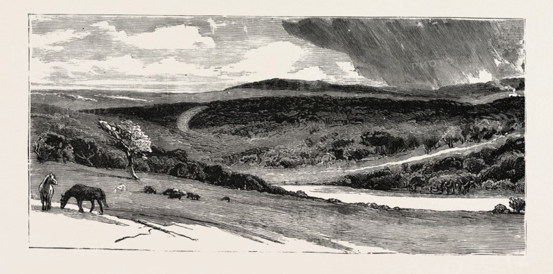 EPPING FOREST, VIEW FROM HIGH BEECH, UK