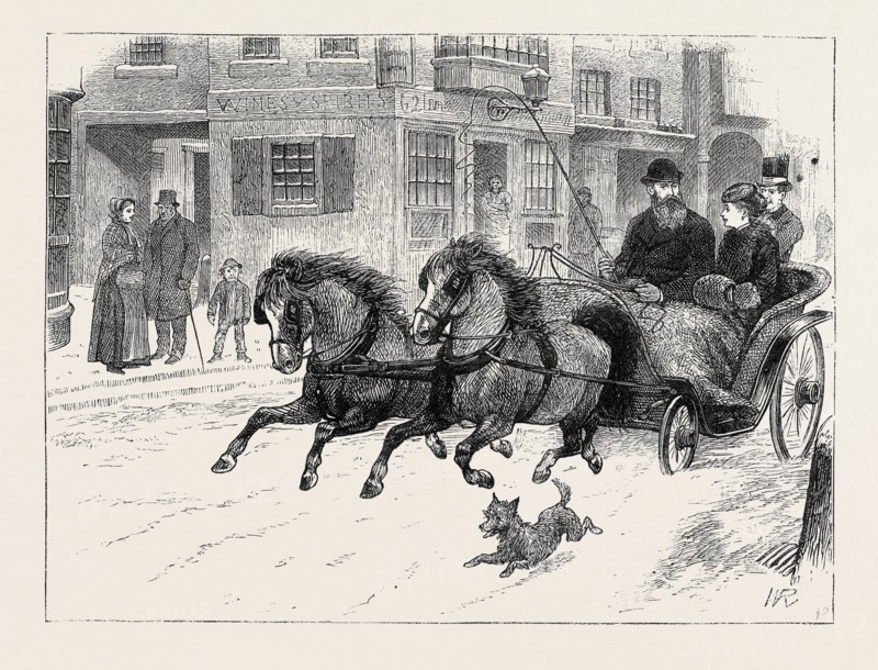 BLACK SPIRITS AND WHITE BY FRANCIS ELEANOR TROLLOPE: Major Maude and Rosamond in the phaeton
