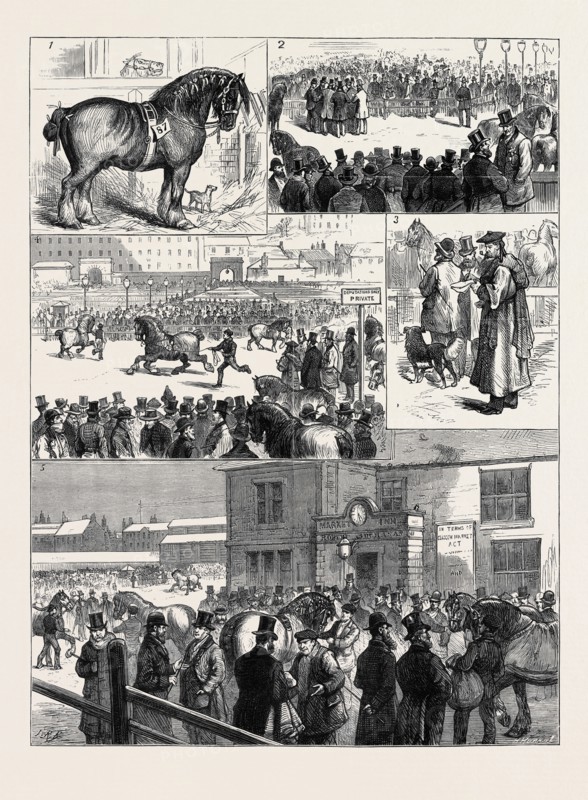 THE ANNUAL STALLION SHOW OF THE GLASGOW AGRICULTURAL SOCIETY: 1. Darnley (1st Prize); 2. The Judges Comparing Notes for the Final Decision; 3. Judging: Men of Note; 4. Judging the "Aged" Animals; 5. Outside the Show.