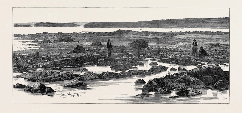 THE IMPENDING WAR, THE "IRON GATE" ON THE DANUBE