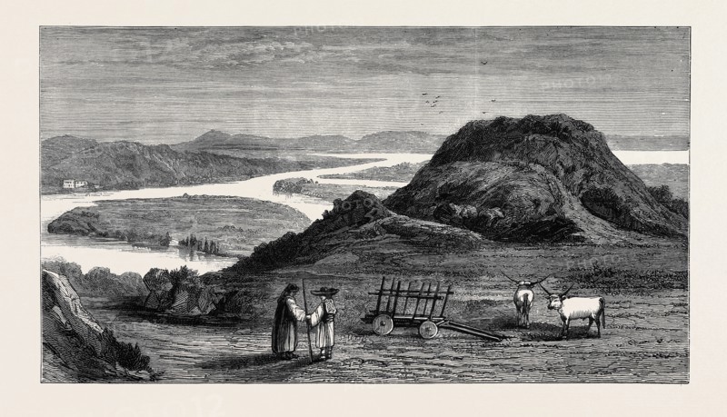 THE RUSSO-TURKISH WAR: CAPUT BOVIS AND THE JUNCTION OF THE SERETH WITH THE DANUBE