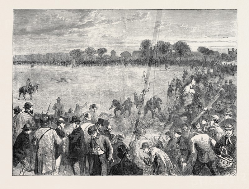 COURSING AT ALTCAR, 1870