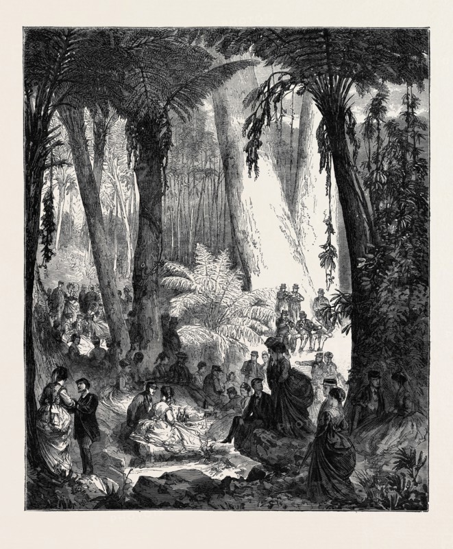 PICNIC IN AUSTRALIA TO THE OFFICERS OF THE FLYING SQUADRON, 1870