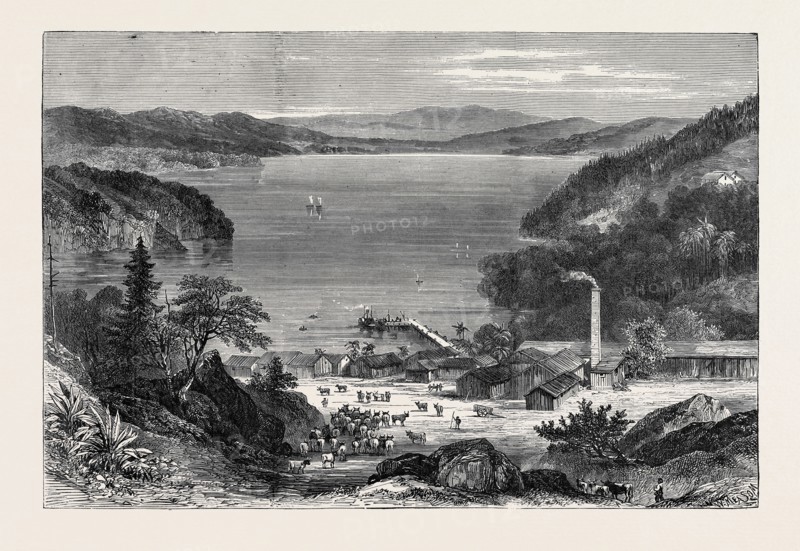AUSTRALIAN MEAT CURING ESTABLISHMENT, LAKE BROADWATER, 1870