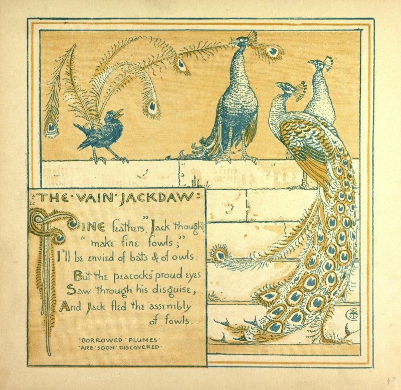 THE VAIN JACKDRAW