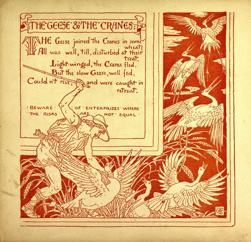 THE GEESE AND THE CRANES