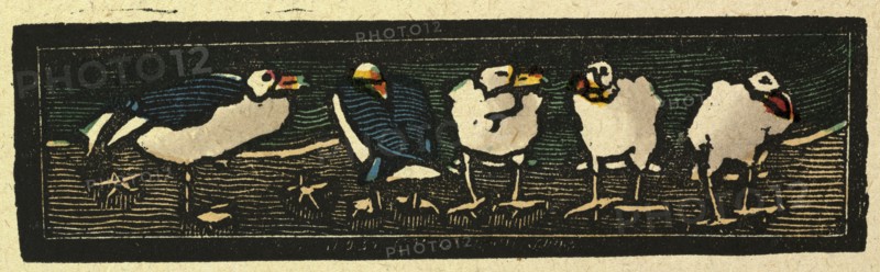 illustration of English tales, folk tales, and ballads. Five sea gulls