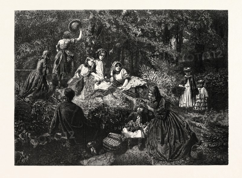 HOLIDAY IN THE WOODS, BY H.P. ROBINSON