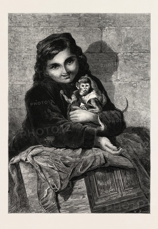 TWO LITTLE MONKEYS, BY MRS. ELIZABETH MURRAY, IN THE EXHIBITION OF THE SOCIETY OF FEMALE ARTISTS