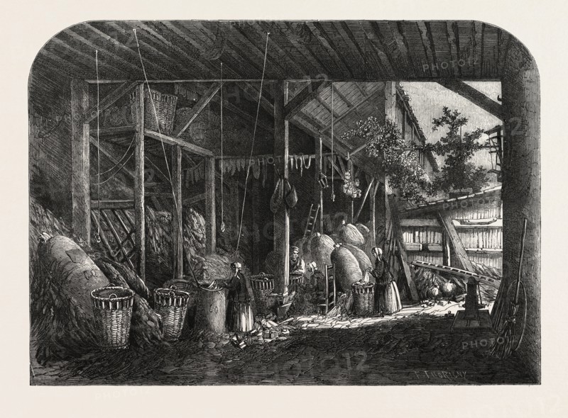 THE TREATY WITH FRANCE, FRENCH RAGS AND FRENCH PAPER: A RAG-WAREHOUSE IN THE QUARTIER MOUFFETARD, AT PARIS, FRANCE