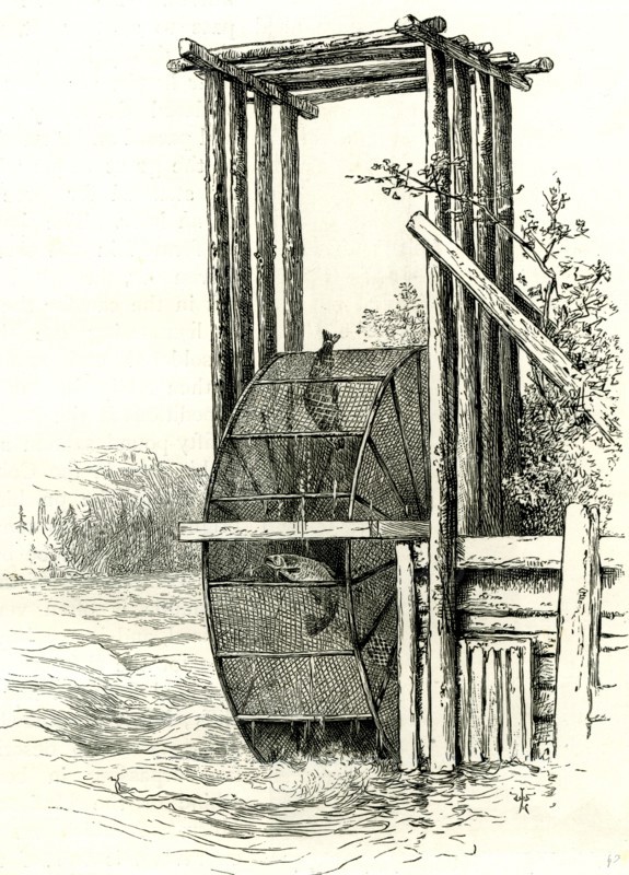 A Salmon Wheel on the Columbia River, 1891, USA