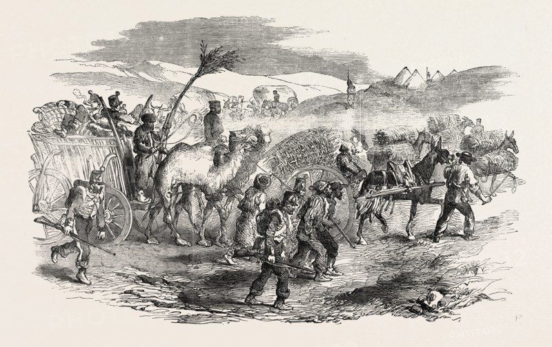 THE CRIMEAN WAR: THE ROAD TO SEBASTOPOL: COMMISSARIAT WAGGONS, CONVEYANCE OF FASCINES, 1854