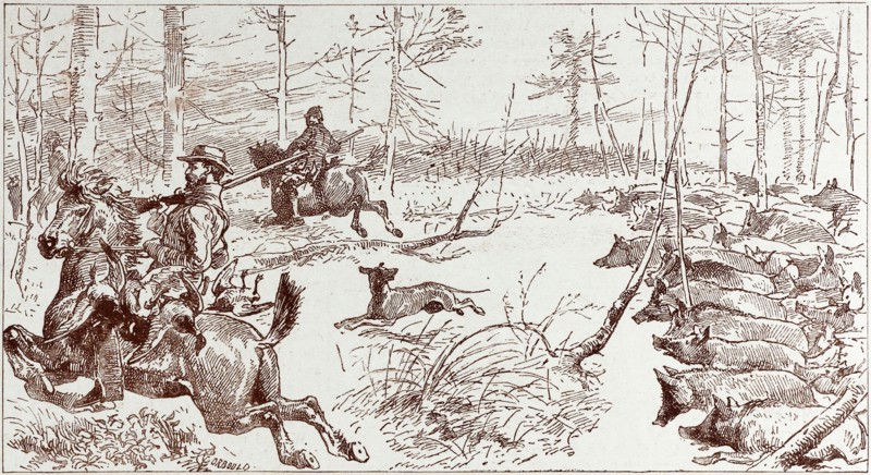 A SHOOTING EXCURSION IN TURKEY: OUR HORSES ARE SEIZED, WITH PANIC, AND STAMPEDE MADLY THROUGH THE FOREST