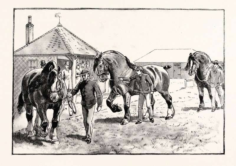 A PARADE IN FRONT OF THE PAVILION IN MR. GILBEY'S PADDOCKS AT ELSENHAM