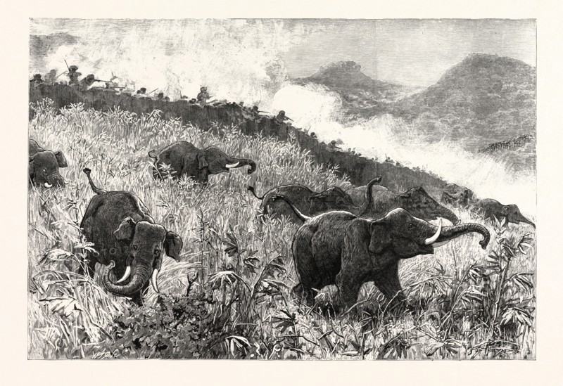 AN ELEPHANT KRAAL ARRANGED FOR THE CZAREVITCH, NEAR COLOMBO, CEYLON (SRI LANKA): BEATERS KEEPING THE WILD ELEPHANTS BACK FROM ENTERING THE KRAAL.