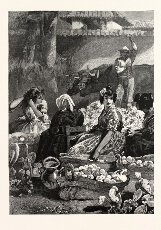 IN THE SUNNY SOUTH, PACKING ORANGES IN THE MARKETPLACE AT SEVILLE, SPAIN