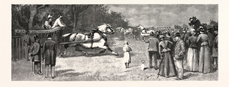 THE LONDON CART HORSE PARADE ON WHIT-MONDAY: A COMPETITOR ENTERING THE SHOW GROUND, UK