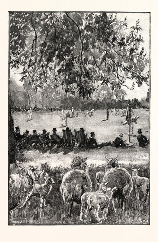 A BOY'S LIFE AT ETON: OH! WELL HIT! A CRICKET MATCH IN THE PLAYING FIELDS, UK