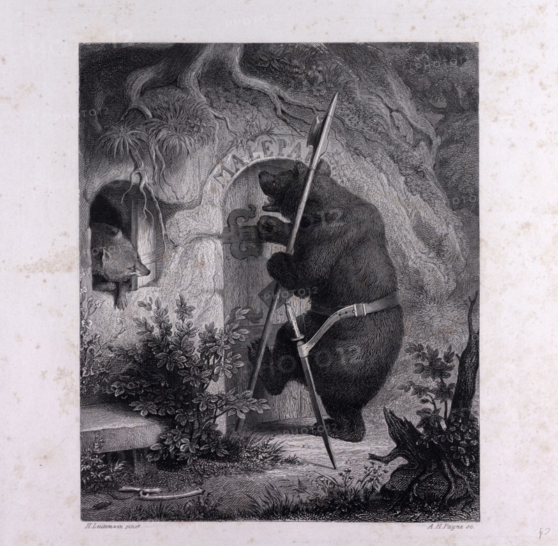 Bruin as messenger