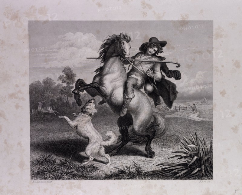The Envious Horse