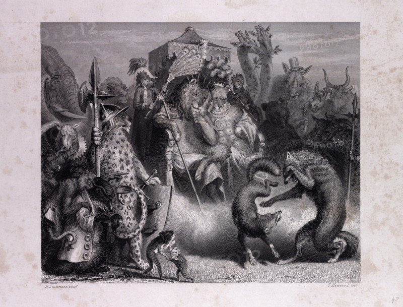 The Combat