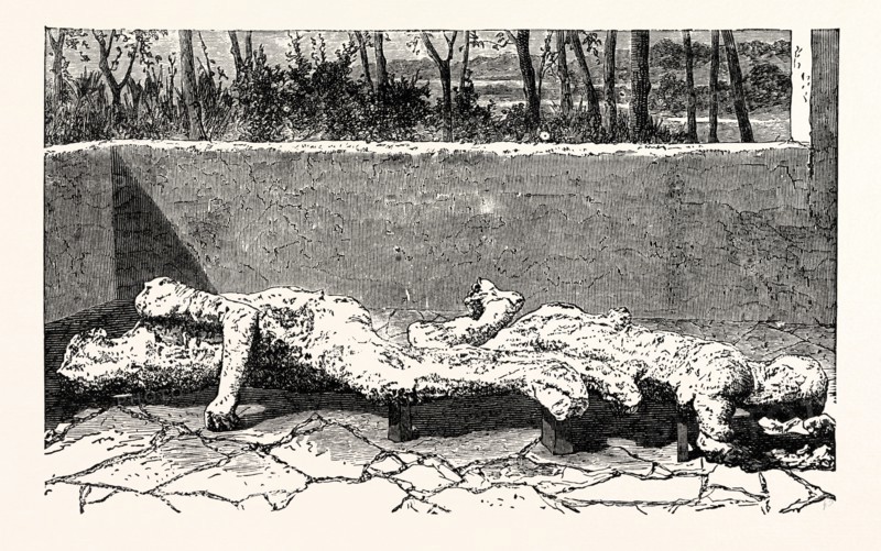 CASTS OF DEAD BODIES OF TWO WOMEN.