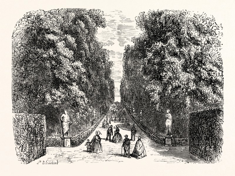 AVENUE IN BOBOLI GARDENS.