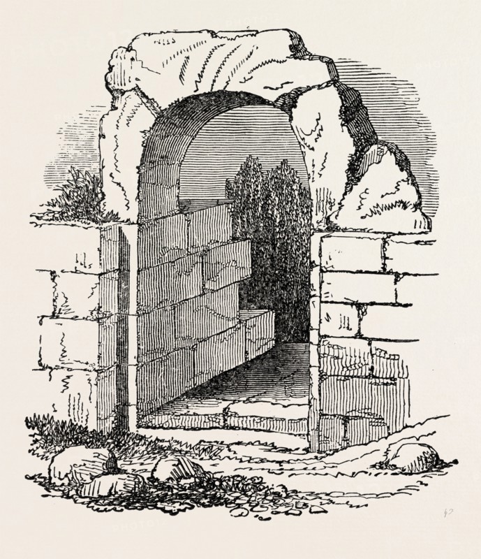 DOORWAY FROM BIRD-OSWALD