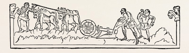 JANUARY. The heathen English called this month " Wolf-monath," because the wolves were then most ravenous. It was also called " Aefter-Yula," that is, After-Christmas. In the woodcut, four oxen are laboriously drawing the plough. At that time they did not use horses for field labour