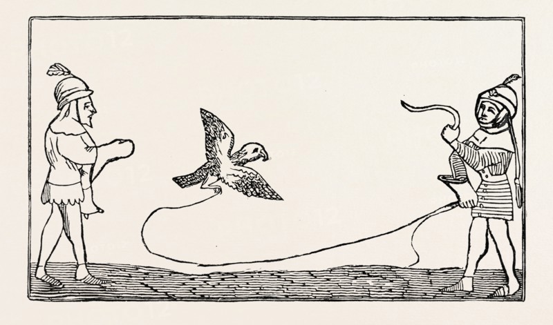 THE LURE