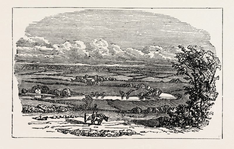 RUNNYMEDE