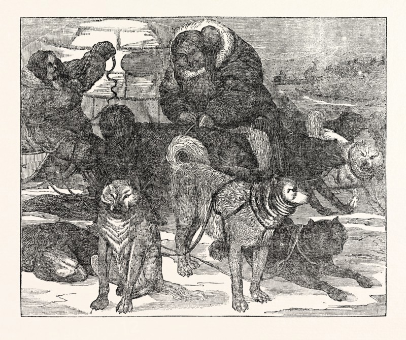 Eskimaux harnessing their Dogs to a Sledge